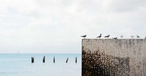 10 AI Tools to Boost Your Productivity in 2026