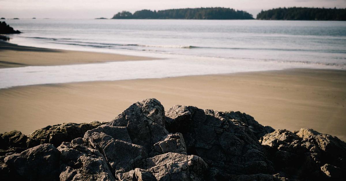 AI Model Optimization