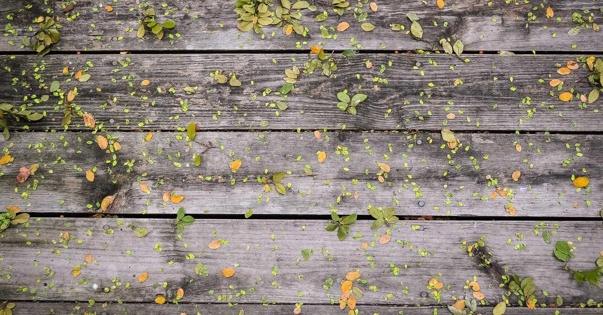 AI-Driven Automated Network Monitoring & Anomaly Detection — Part 4: Building an AI Model for Anomaly Detection using Python and Prophet