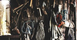 AI vs AI: Comparing Machine Learning Algorithms for Image Classification Part 2: Evaluation of Model Performance