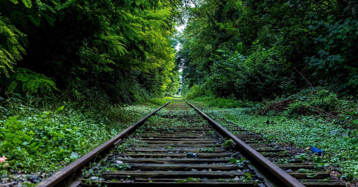 Evaluating Open Source AI Frameworks for Time Series Forecasting Part 1: Introduction to Time Series Analysis and Forecasting